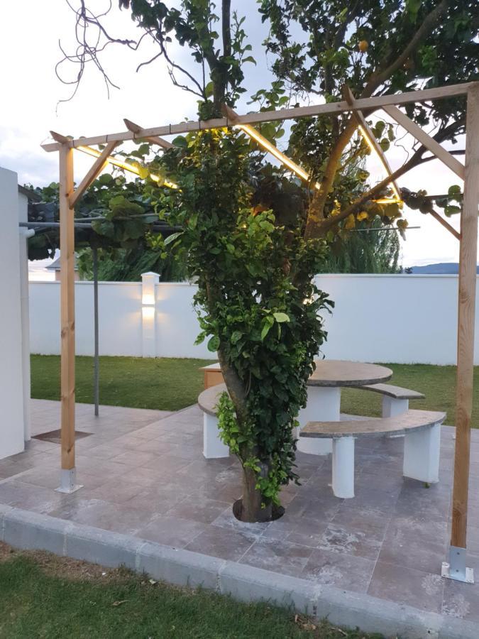 Casa Flor Delfin Ribadeo Villa Exteriör bild